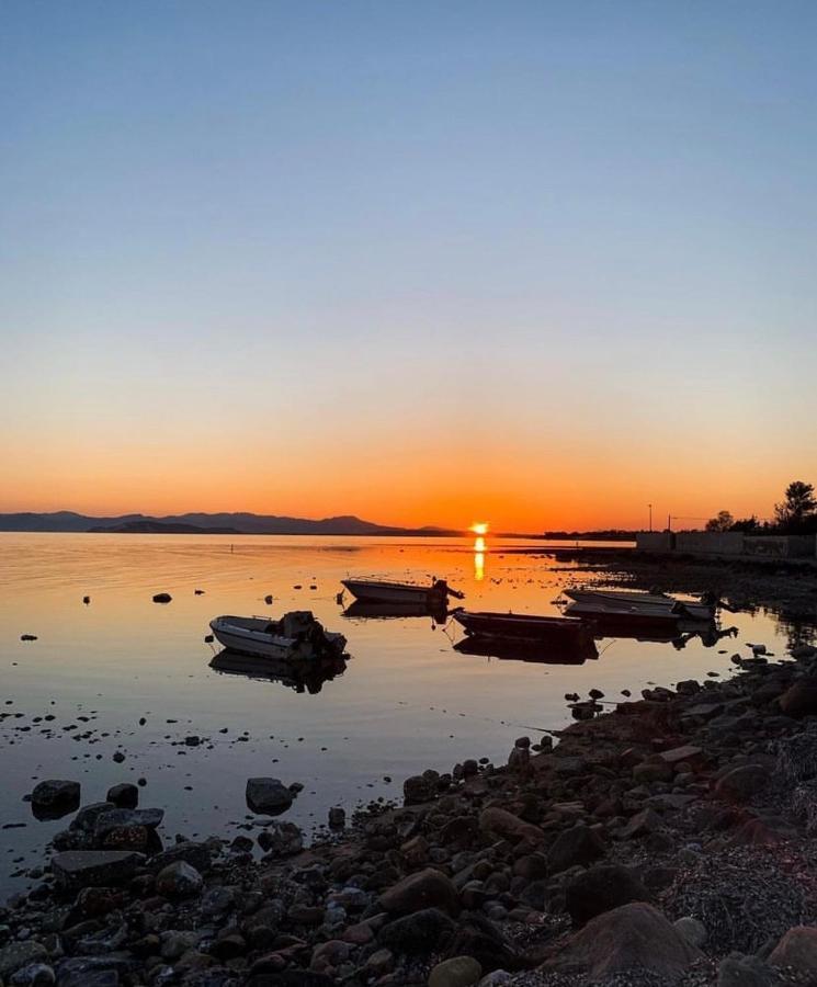 Casa Tranquilla A Pochissimi Passi Dal Mare Villa Sant'Andrea  ภายนอก รูปภาพ