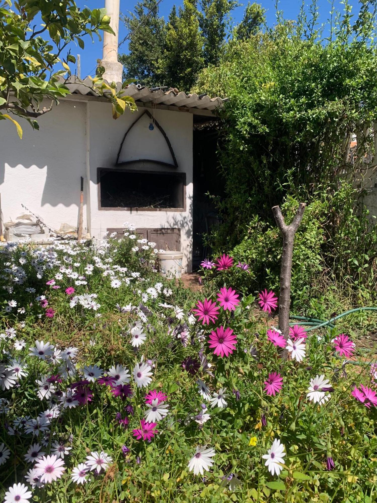 Casa Tranquilla A Pochissimi Passi Dal Mare Villa Sant'Andrea  ภายนอก รูปภาพ